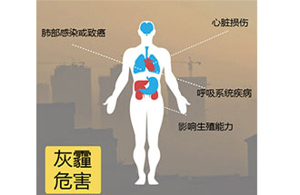 空氣中PM2.5 是由什么物質(zhì)組成的？