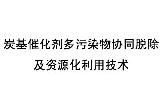 炭基催化劑多污染物協(xié)同脫除及資源化利用技術(shù)