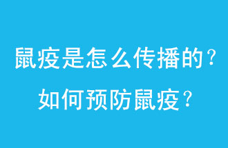 鼠疫是怎么傳播的？如何預(yù)防鼠疫？